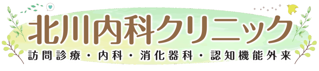 群馬県桐生市の北川内科クリニック～訪問診療を行っています。